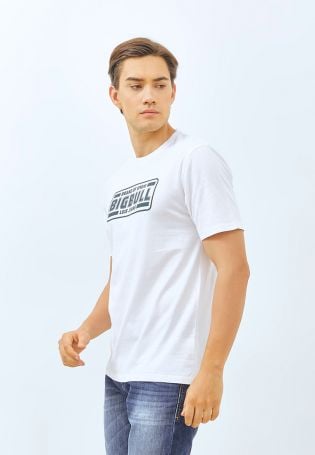 Lois Kaos Lengan Pendek KSL2232